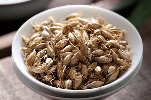 疏肝理气良药——燕麦，你不知道的健康谷物