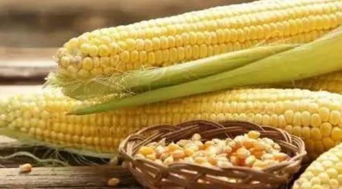 预防疾病,提高免疫力 这10种谷物才是你应该吃的