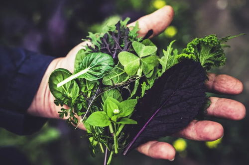 趣看吃的变迁 谷物种植如何成就中国美食的丰富多样