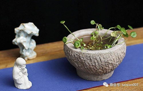 谷物种植的时光烙印 八种已身价倍增的农村老石器